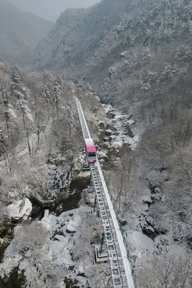 廬山冬日限定｜乘雪國列車闖入三疊泉仙境