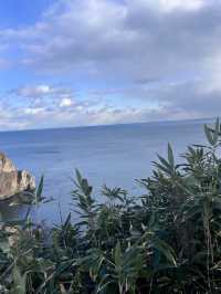 7日暢遊日本 超實用全攻略