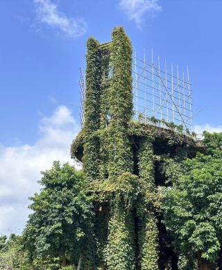 Liaoyuan Garden in Yangjiang: A Poetic Escape Hidden in the City
