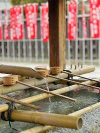春日限定！奈良櫻花與小鹿的神仙同框攻略
