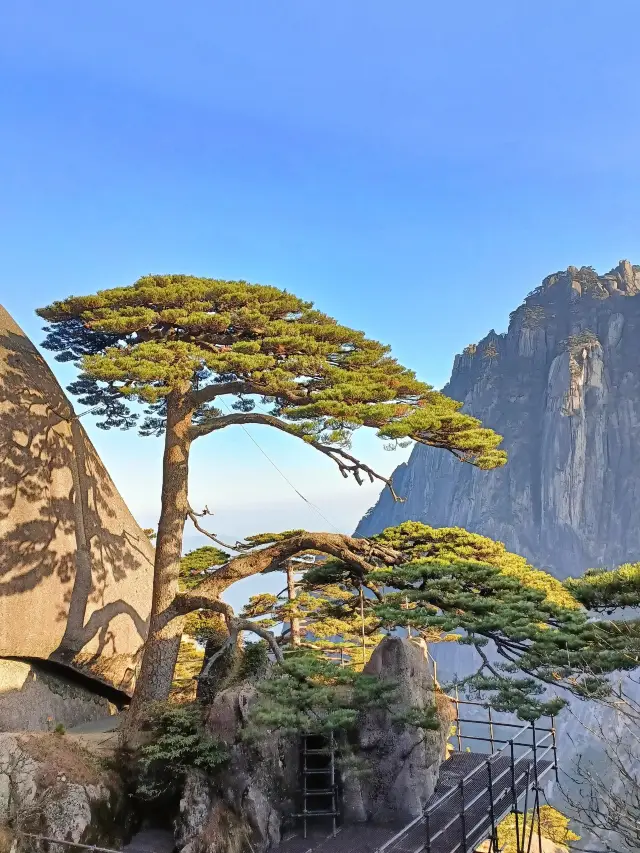 Enshi 4-Day Trip with Friends: A Must-Have Itinerary