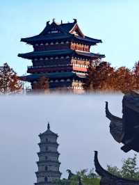 阜陽生態公園︱城市綠肺裡的奇幻旅程