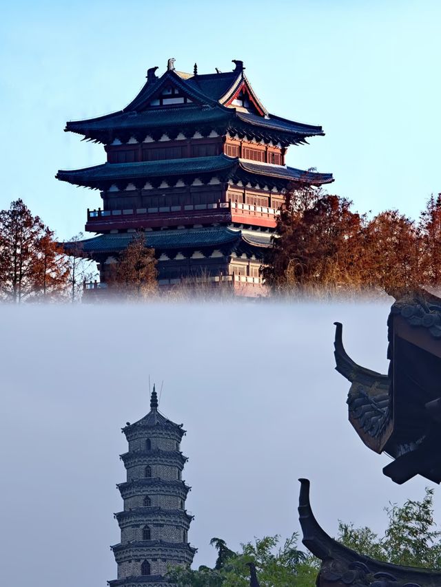 阜陽生態公園︱城市綠肺裡的奇幻旅程