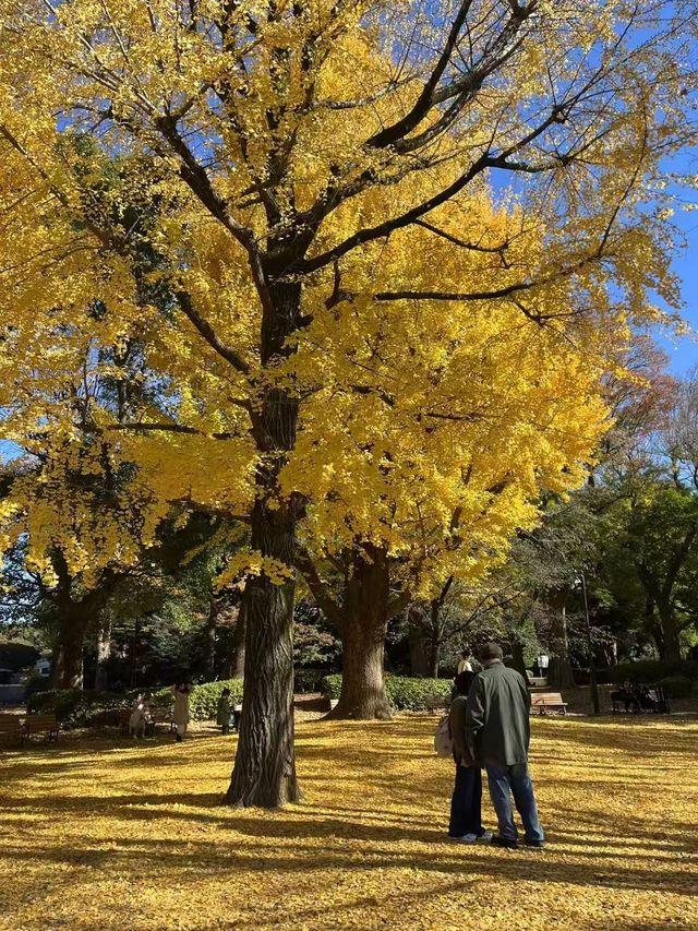 熱愛東京‖