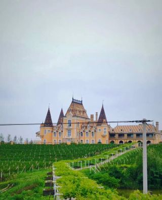 Jingmen Pengdun Country World