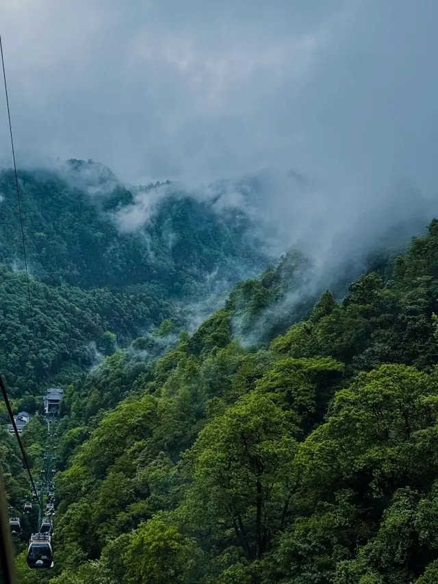 張家界-大峡谷-天門山6日間ツアー｜大人気ルートと完全攻略