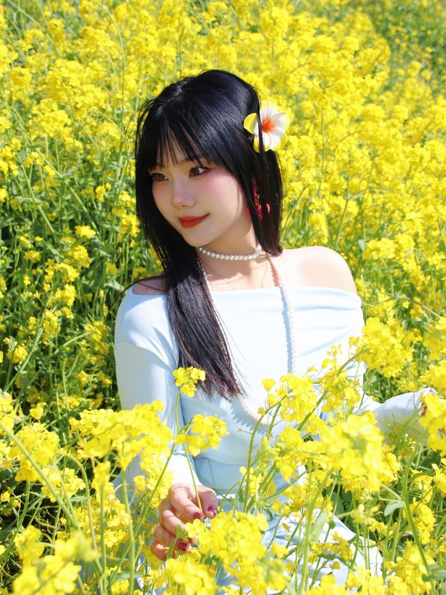 春日序曲油菜花開了