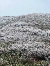 湖南永州藍山雲冰山｜雲端之上的風雪奇緣