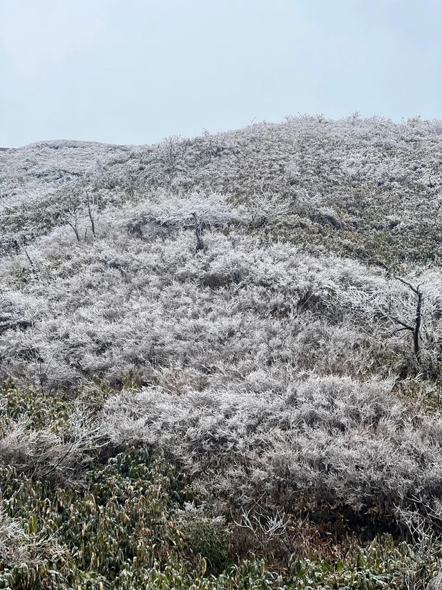 湖南永州藍山雲冰山｜雲端之上的風雪奇緣