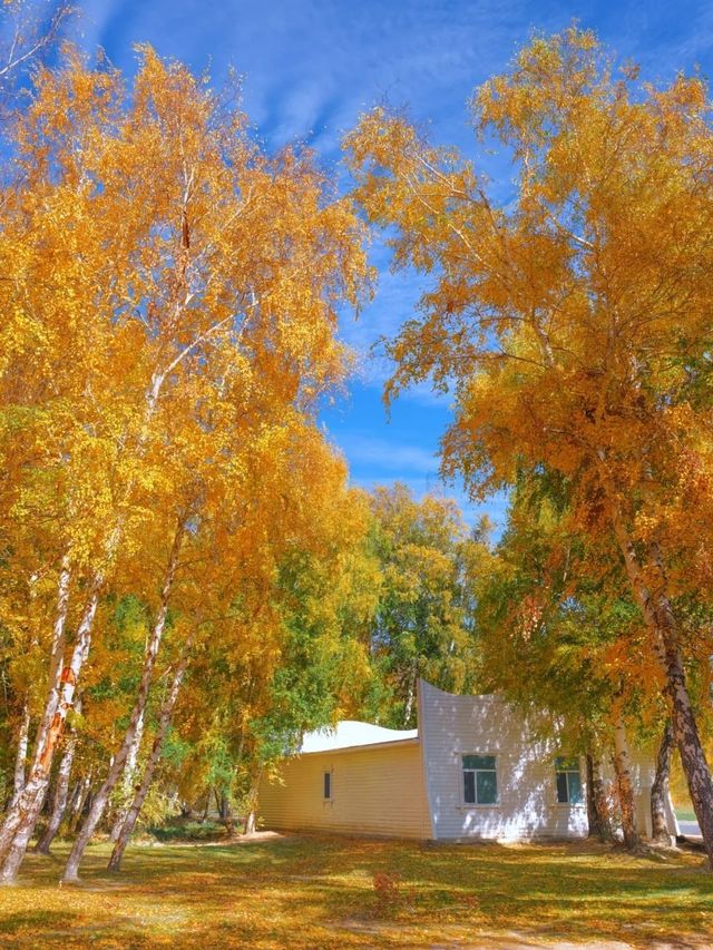 哈密-布爾津-伊寧市 老友記必備旅遊攻略