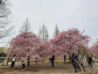 上海辰山植物園