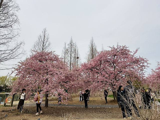 上海辰山植物園