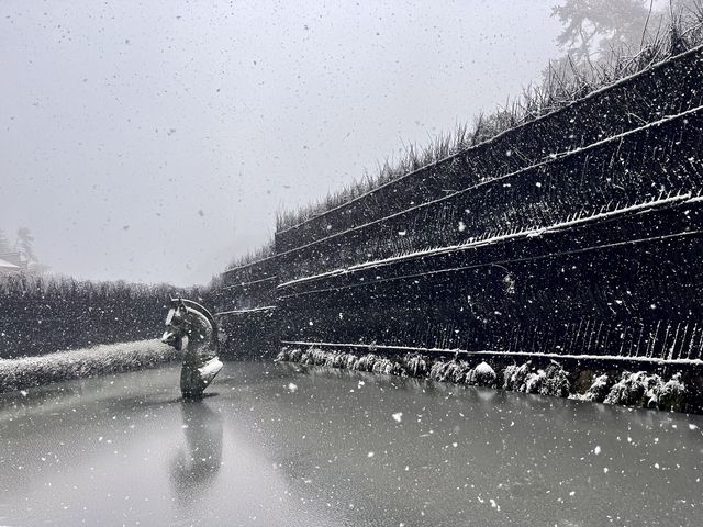 在金華邂逅了超美的雪景