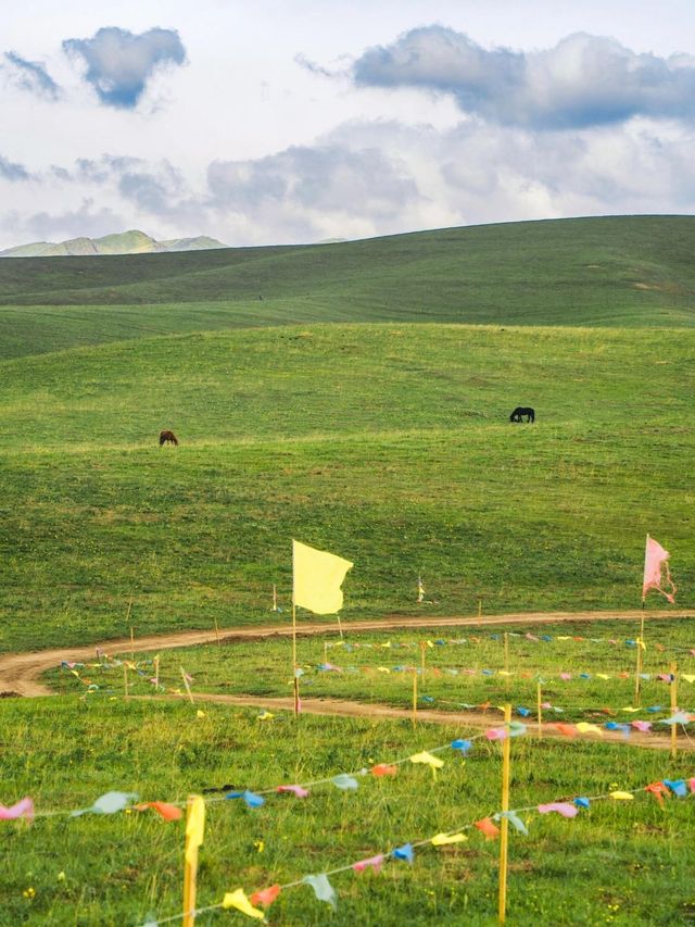 4日暢遊臨夏回族自治州等地 超實用攻略來襲