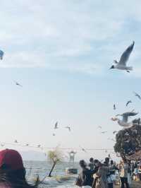 撈魚河濕地公園絕美日落