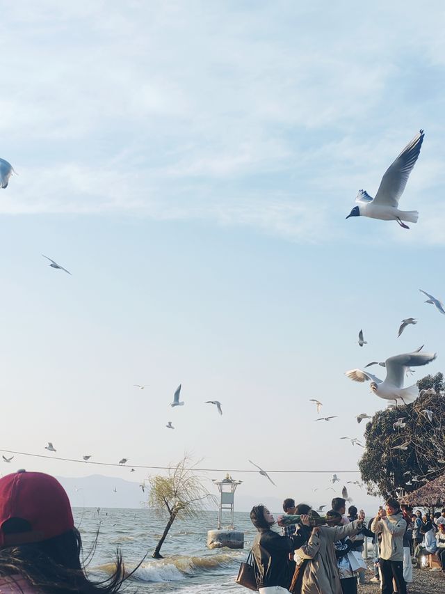 撈魚河濕地公園絕美日落