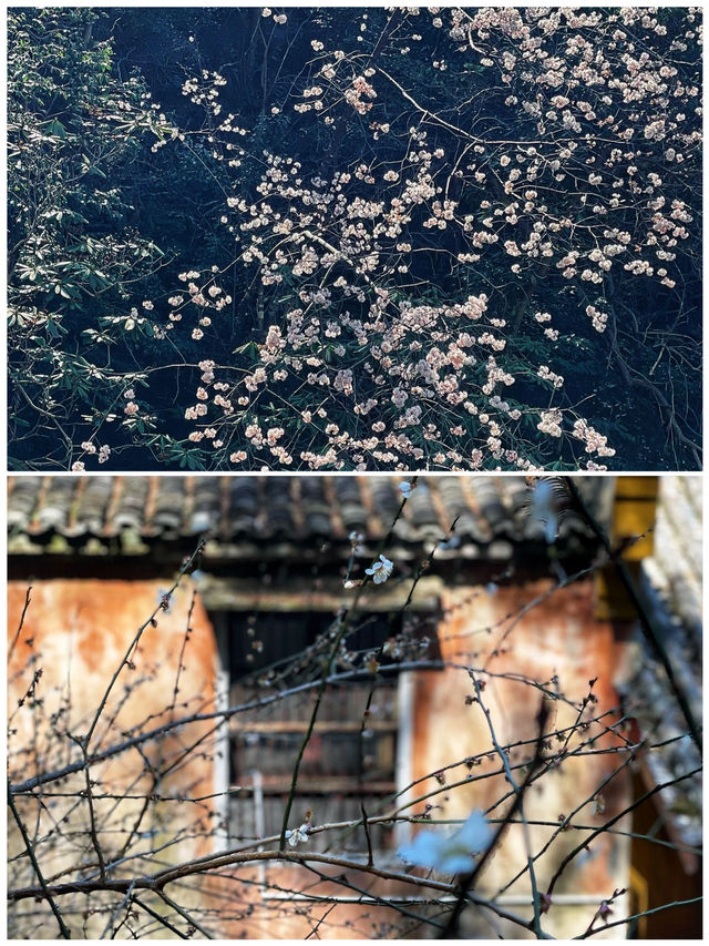 台州的隱藏玩法，竟然這麼多
