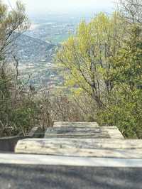 路遙知「虎」力，「捷」伴來 Hiking