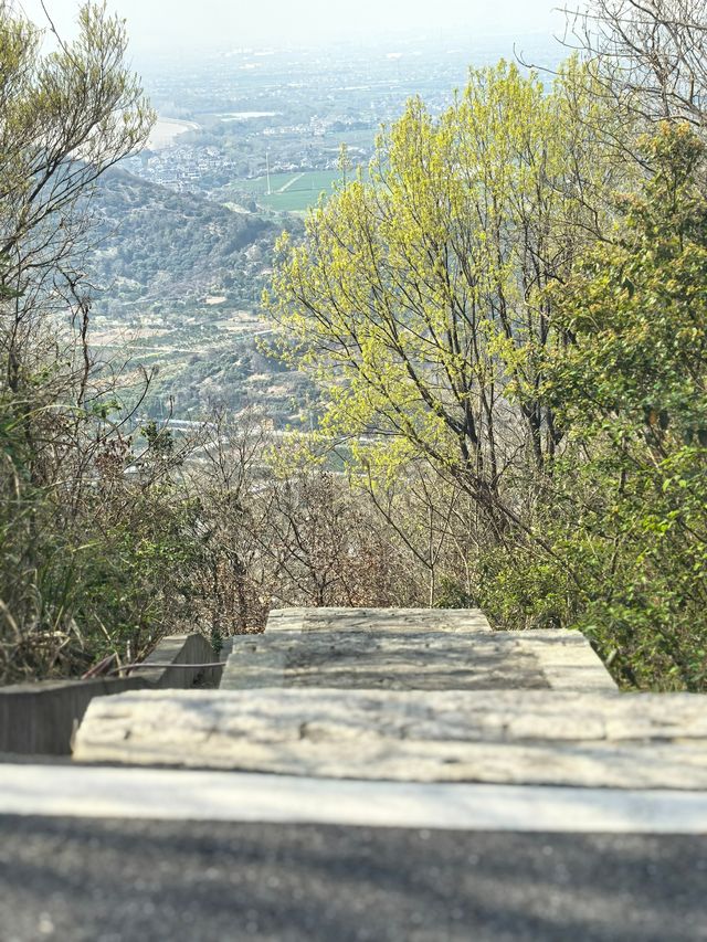 路遙知「虎」力，「捷」伴來 Hiking
