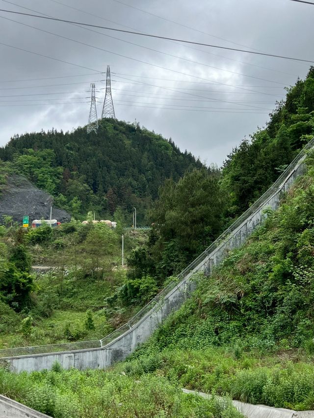 岳陽等地12日深度遊 超詳細攻略不踩雷
