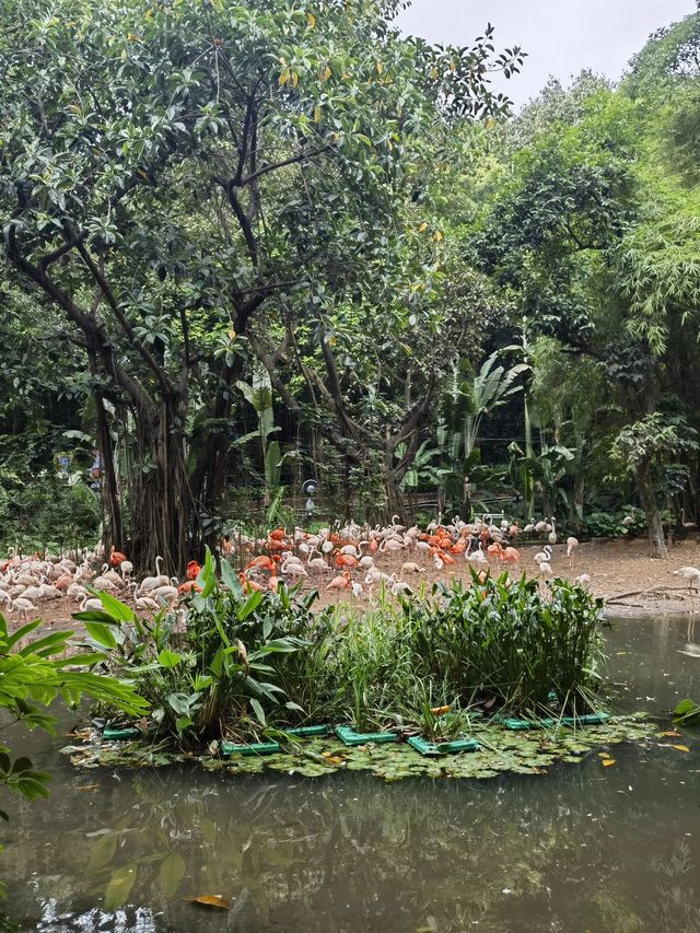 珠海-廣州親子遊攻略 帶孩子玩轉兩地美景