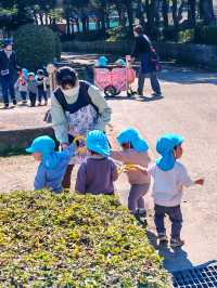 在日本四國德島中央公園欣賞櫻花