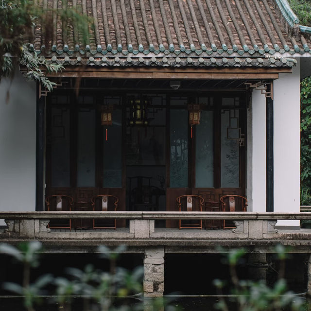 鬧市桃源！廣州蘭圃小眾公園，邂逅滿屏蔥鬱🌿🌱🍃🎋