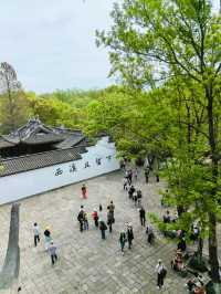 Relaxing Free Half-Day Tour at Xixi Wetland (1-Hour Journey Guide)