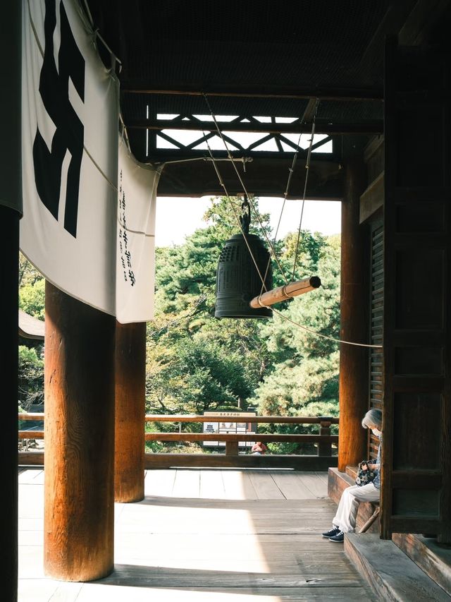 日本景點|絕美杉樹步道！神秘又瑰麗。