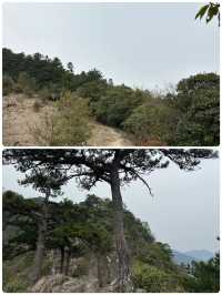佛系吸氧天花板！天目山保姆級避坑攻略