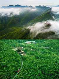 南山竹海 | 和我一起登山去~