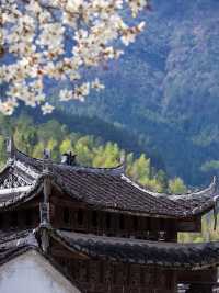 魅力中國 | 歷久彌新的永和廊橋