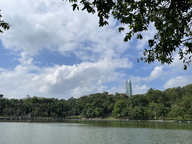 深圳圖書館北館📚✨ 書香秘境大發現！