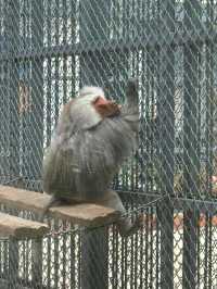 長春動植物園·西游記主題公園