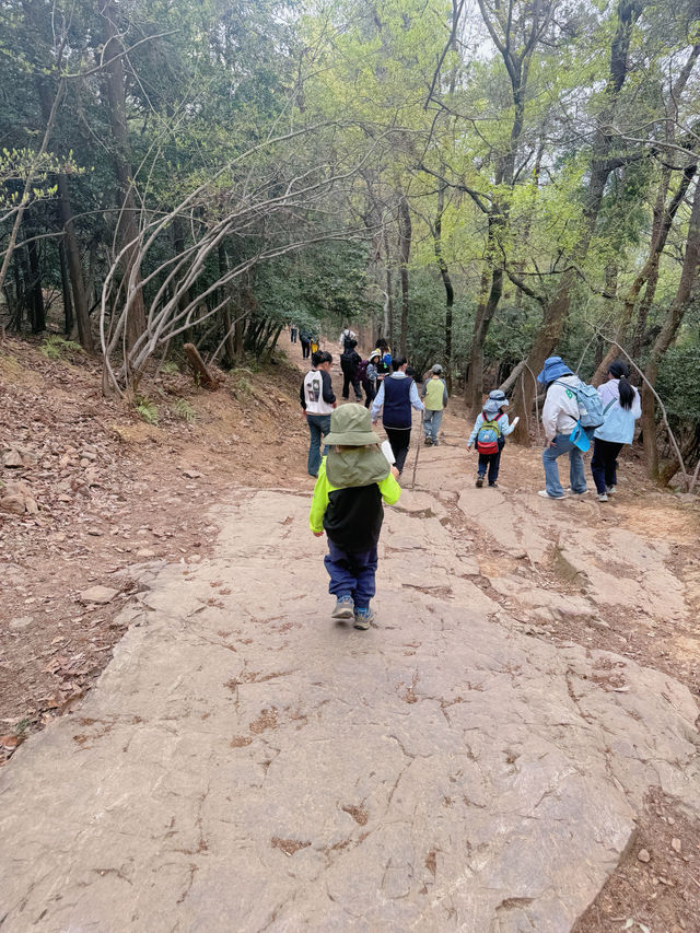 虞山輕鬆拿下！附雄鷹線和親子環線路線攻略
