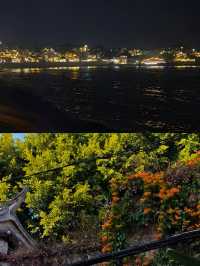一半火山一半海，東山島是陸地的盡頭與溫柔