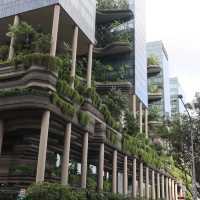 🇸🇬新加坡濱海灣花園保姆級行程｜沉浸式擁抱自然與科幻感💫