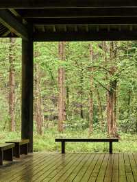 逃離城市•低能量旅行天目山度假攻略