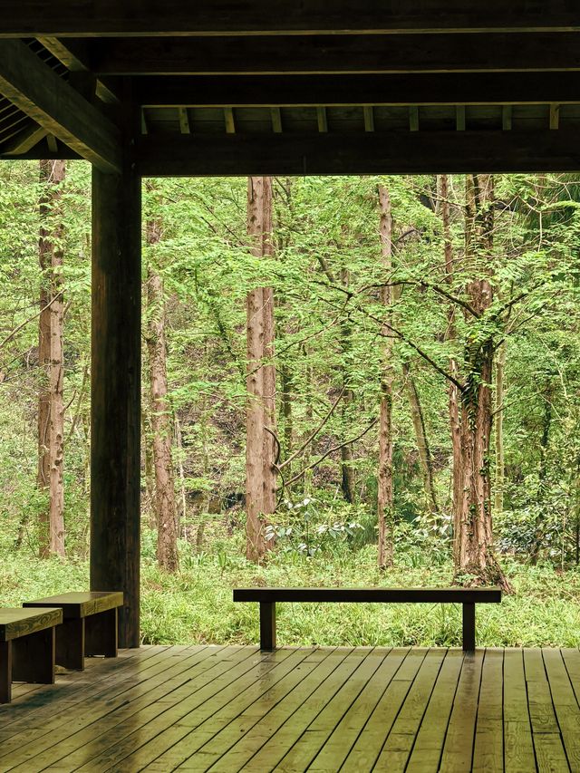 逃離城市•低能量旅行天目山度假攻略