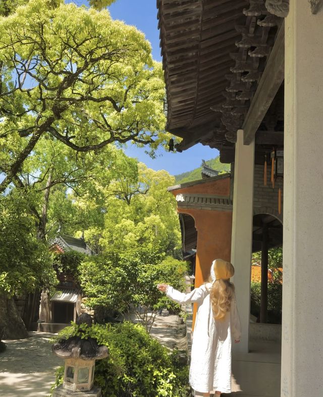 對天台山失去所有力氣和手段