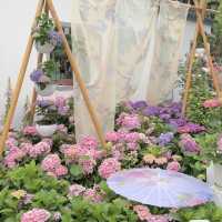 世界花園大會分會～中山公園（人更少，附攻略）