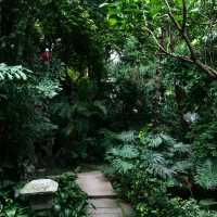 廣州蘭圃｜藏身都市的森林花園