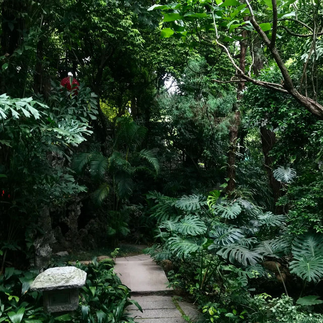 廣州蘭圃｜藏身都市的森林花園