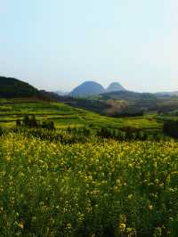 折疊時空的黃金勝景｜羅平油菜花經典路線
