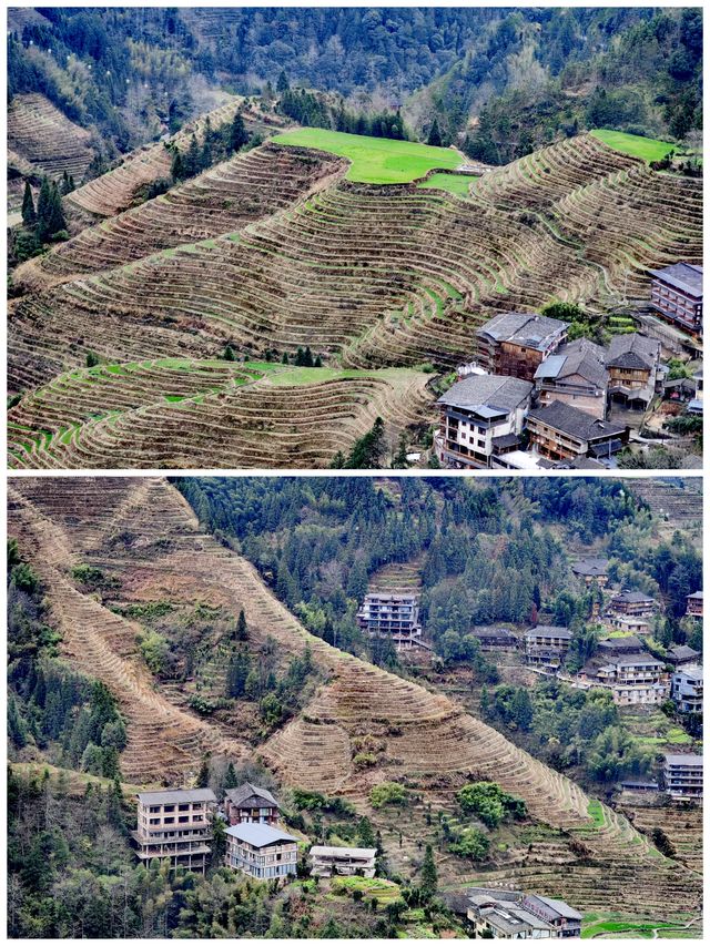 桂之旅丨龍勝龍脊梯田a
