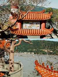 探索福建寧德：海上蓮花寺的神秘面紗