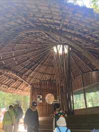 與佛光同塵的慢旅行，與晨霧交織的朝聖