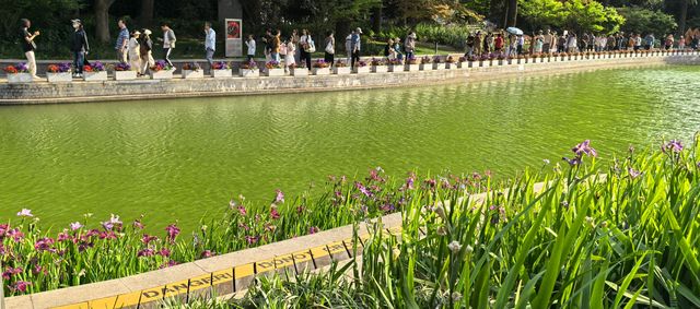 2025上海國際花展-新天地主會場