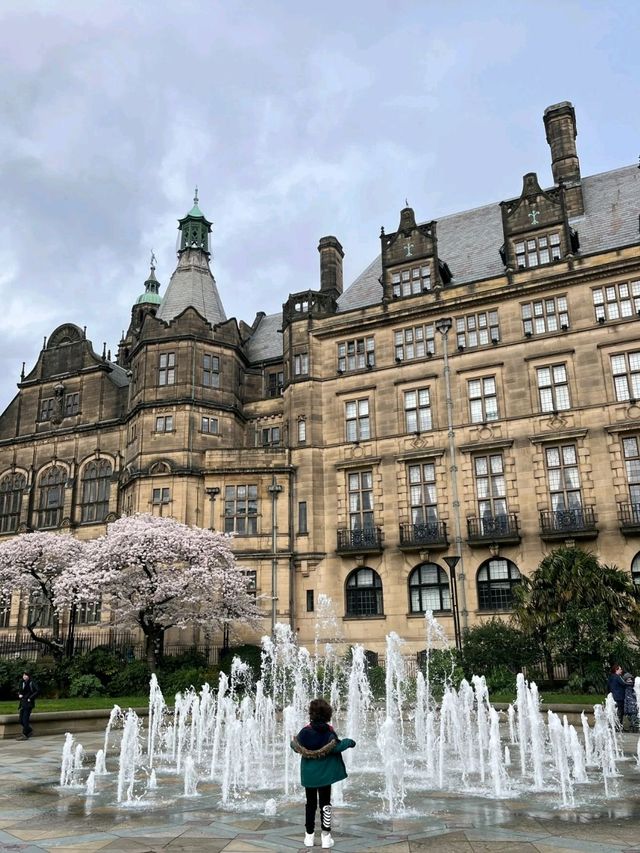 Sheffield's Peace Gardens is so Mesmerizing❤️‍🔥💯