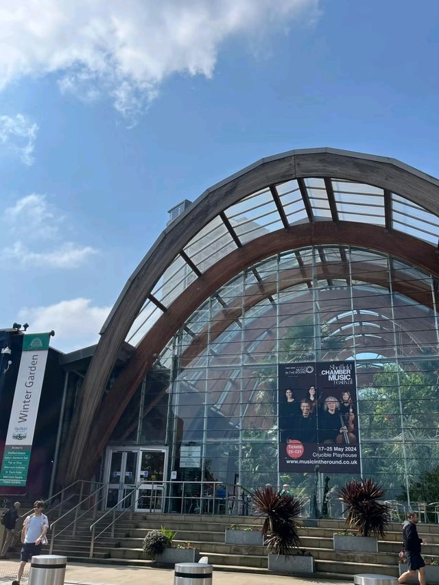 Sheffield Winter Gardens is so Dreamy❤️‍🔥🥰
